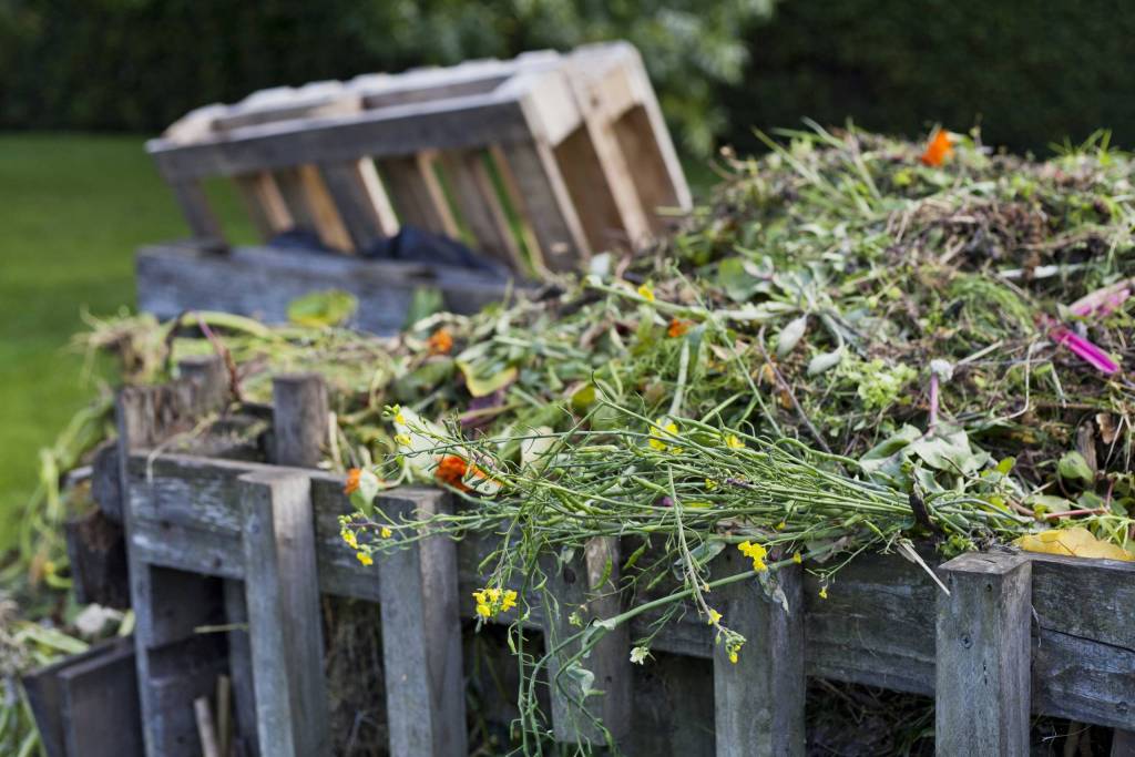 Que deviennent vos déchets verts