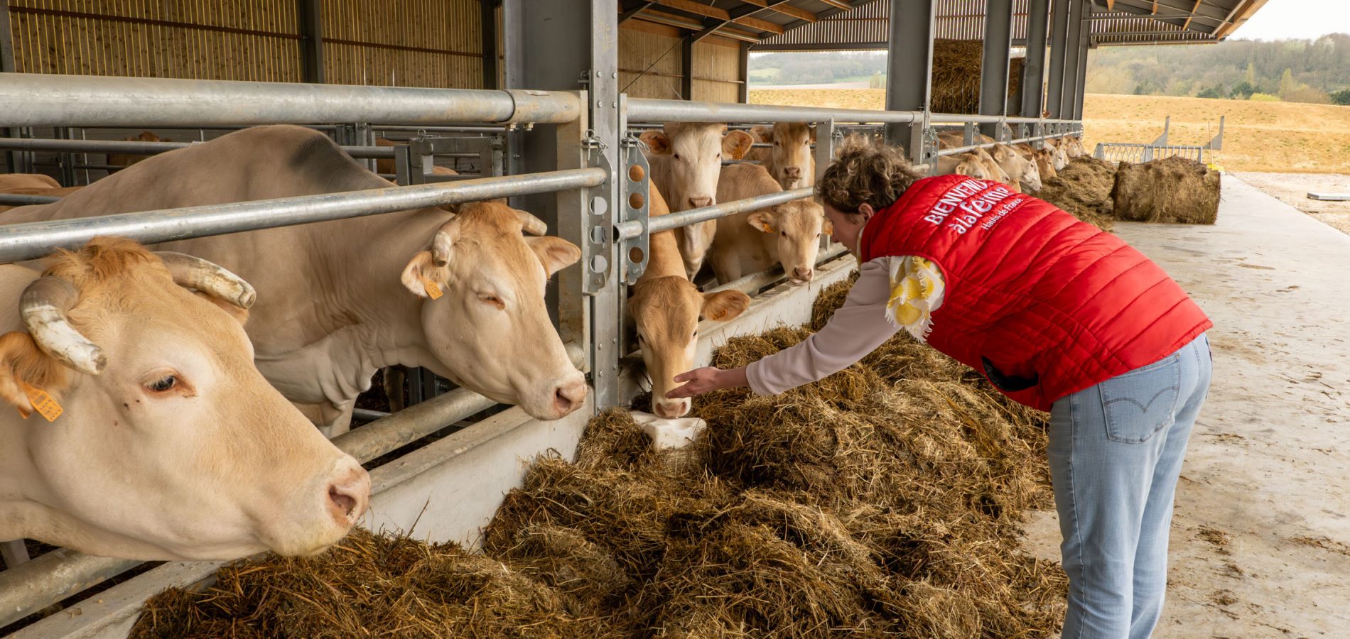 FERME DU PRE MOLAINE ABLAIN-2 FERME DU PRE MOLAINE ABLAIN-2