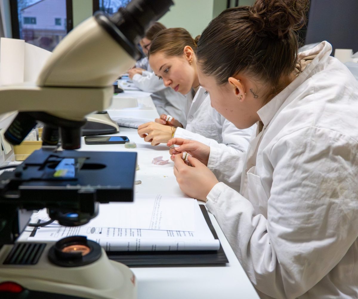 PASS LENS FAC JEAN PERRIN-02